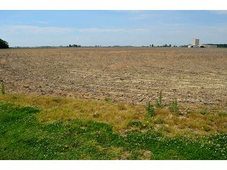 Property photo 35 - FARM & LAND AUCTION - 125+/- ACRES OFFERED IN 5 TRACTS IN EAST ALLEN COUNTY, INDIANA